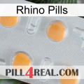 Rhino Pills 24